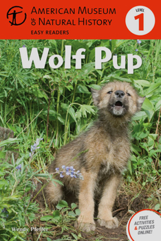 Paperback Wolf Pup: (Level 1) Volume 4 Book