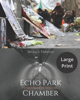 Paperback Echo Park Chamber: Uncommon Synths (Large Print Edition) Book