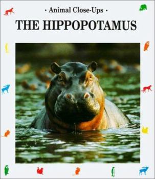 The Hippopotamus: River Horse - Book  of the Animal Close-Ups