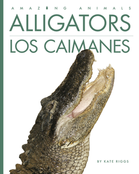 Library Binding Alligators / Los Caimanes [Spanish] Book