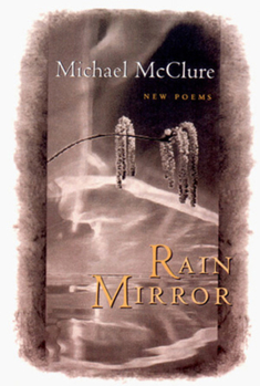 Paperback Rain Mirror: Poems Book