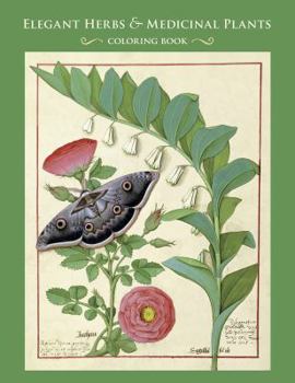 Paperback Elegant Herbs & Medicinal Plants Coloring Book