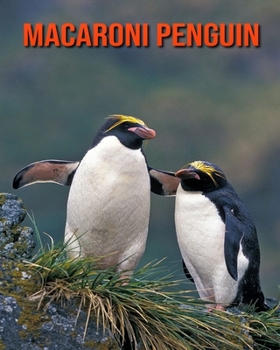 Paperback Macaroni Penguin: Amazing Facts about Macaroni Penguin Book