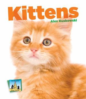 Kittens - Book  of the Baby Animals