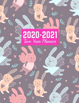 2020-2021 Two Year Planner: Daily Weekly Monthly 2020-2021 Planner Organizer, Agenda, Schedule and To Do List Journal Art Cover 00023187