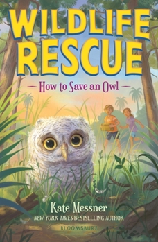 Paperback How to Save an Owl Book