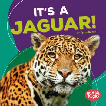 Library Binding It's a Jaguar! Book