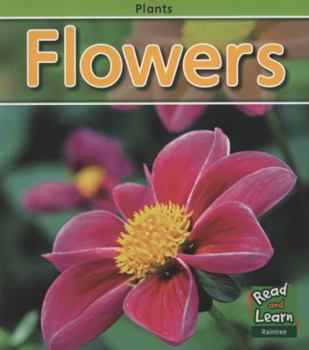 Paperback Flowers (Read and Learn: Plants) Book