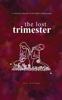 Paperback The Lost Trimester Book