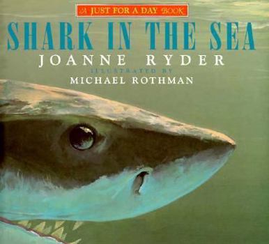 Hardcover Shark in the Sea Book