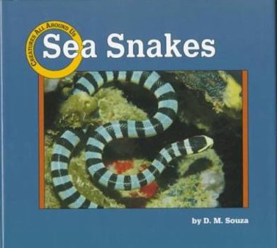 Hardcover Sea Snakes Book