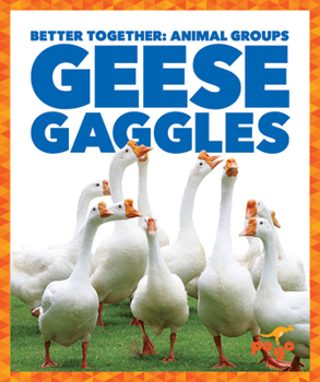Library Binding Geese Gaggles Book