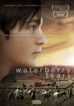 DVD Waterberry Tears Book