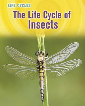 Hardcover The Life Cycle of Insects Book