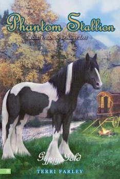 Gypsy Gold - Book #23 of the Phantom Stallion