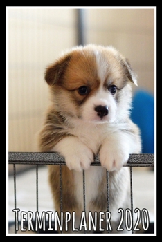 Terminplaner 2020: Jahresplaner von September 2019 bis Dezember 2020 mit Hund - Planer mit 174 Seiten in weiß im Format A5 mit glänzendem Soft Cover. (German Edition)