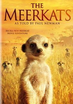 DVD The Meerkats Book