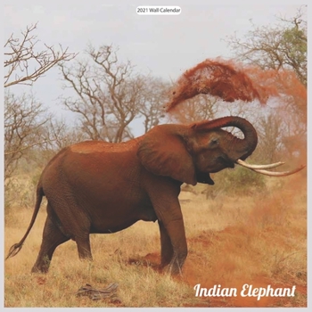 Indian Elephant 2021 Wall Calendar: Official Elephant 2021 Wall Calendar