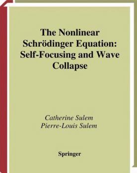 Paperback The Nonlinear Schrödinger Equation: Self-Focusing and Wave Collapse Book