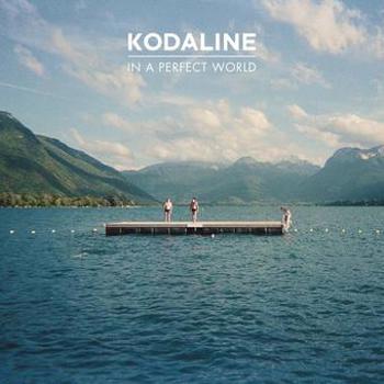 Music - CD In A Perfect World Book