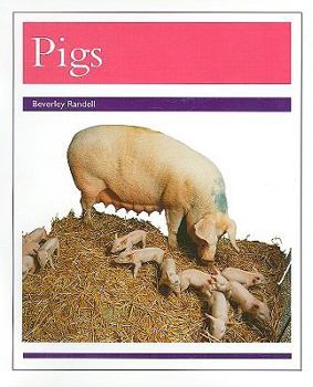 Paperback Animals - Pigs: Individual Student Edition Purple (Levels 19-20) Book