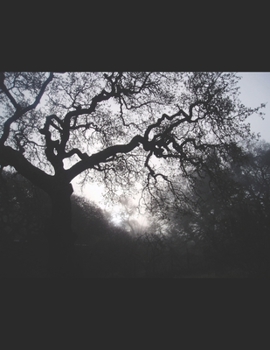 Paperback Capital Murders Book