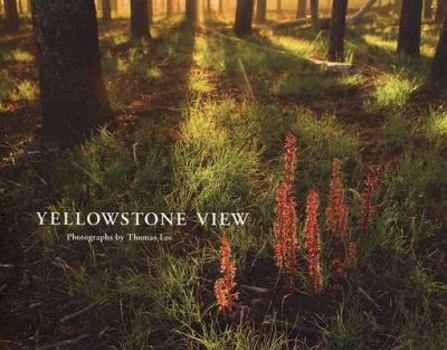 Hardcover Yellowstone View Book