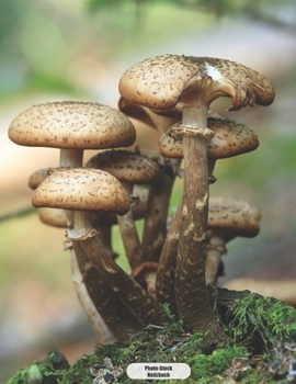 Photo-Stock Notizbuch: Waldpilze  Tagebuch Journal 150 Seiten liniert | Notizbuch im A4 Format | mattes Softcover (German Edition)