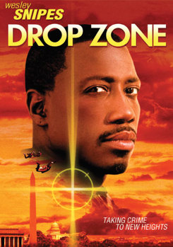 DVD Drop Zone Book