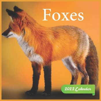 Foxes Calendar 2022: official Foxes calendar 2022,12 months, calendar Wild Animals, Square Calendar