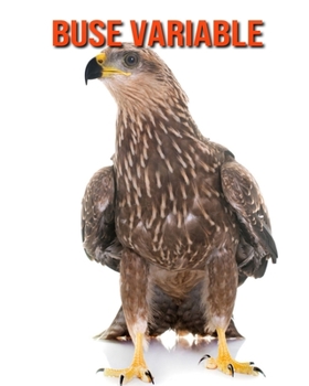Paperback Buse Variable: Photos Etonnantes & Recueil d'Informations Amusantes Concernant les Buse Variable pour Enfants [French] Book