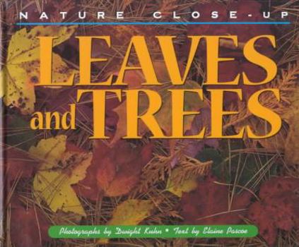 Hardcover Leaves and Trees Book