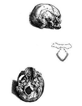 Anatomy Notebook: Three Views of Base of Skull - Andreas Vesalius Anatomy Art College Ruled Notebook | 110 Pages (Andreas Vesalius White Cover)