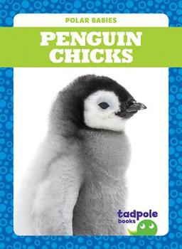 Paperback Penguin Chicks Book