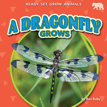 A Dragonfly Grows