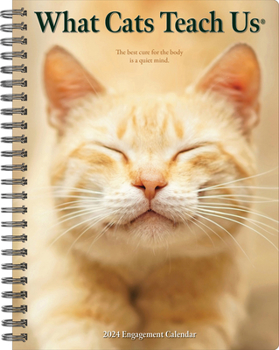 Calendar What Cats Teach Us 2024 6.5 X 8.5 Engagement Calendar Book