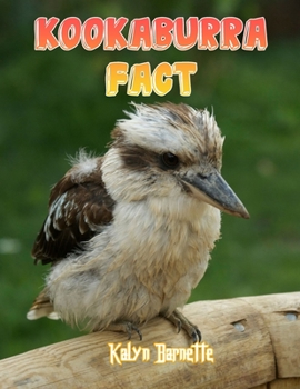 Kookaburra Fact: KOOKABURRA fact for girl age 1-10 KOOKABURRA fact for boy age 1-10 facts about all about KOOKABURRA