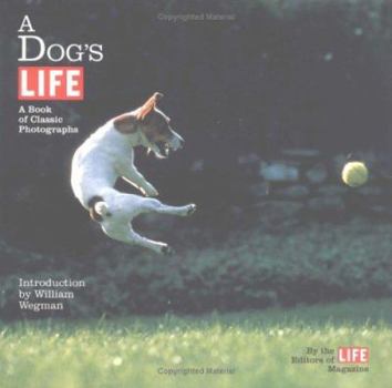 Hardcover A Dog's Life: A Book of Classic Photographs Book