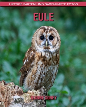 Eule: Lustige Fakten und sagenhafte Fotos