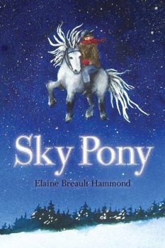 Paperback Sky Pony Book