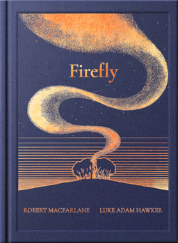 Hardcover Magic Cat The Night Creatures Firefly. Book