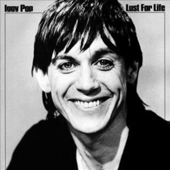 Vinyl Lust for Life Book