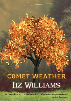 Paperback Comet Weather Book