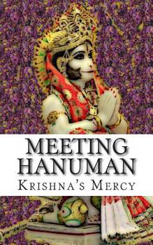 Paperback Meeting Hanuman Book