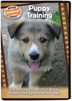 Puppy Training