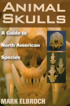 Paperback Animal Skulls: A Guide to North American Species Book