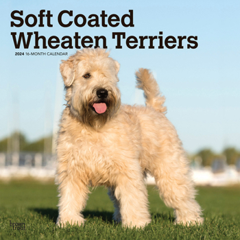 Calendar Wheaten Terriers, Soft Coated 2024 Square Book