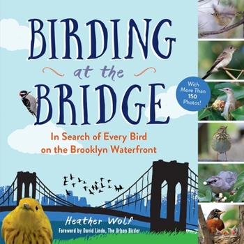 Paperback Birding at the Bridge: In Search of Every Bird on the Brooklyn Waterfront Book