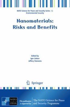 Paperback Nanomaterials: Risks and Benefits Book