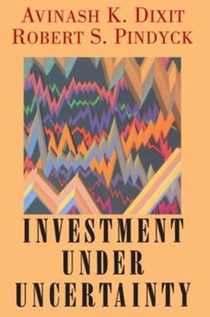Hardcover Investment Under Uncertainty Book
